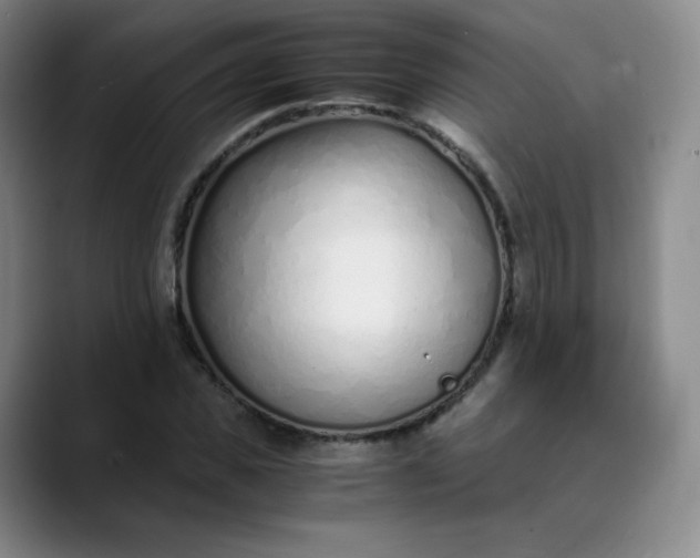 X0000089890925200707121828