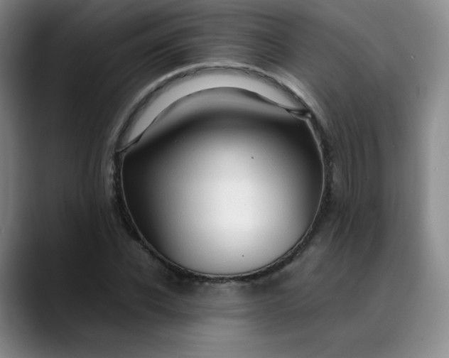 X0000089890926200707121828