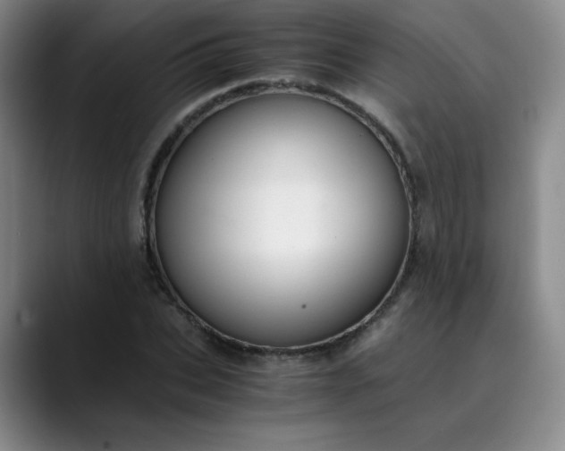 X0000089890927200707121828