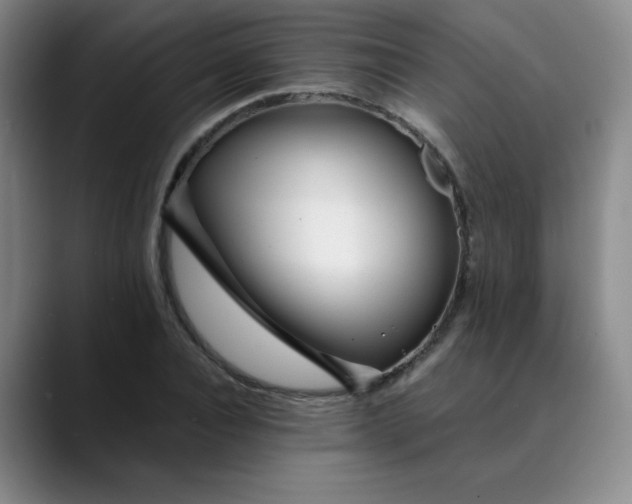 X0000089890928200707121828