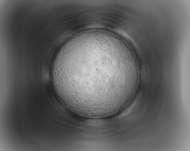 X0000089890929200707121828