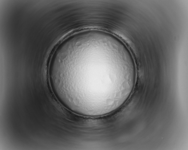 X0000089890933200707121828