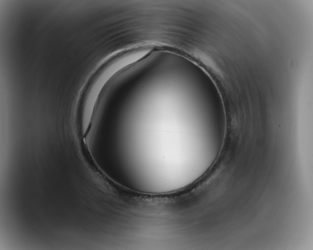 X0000089890934200707121828