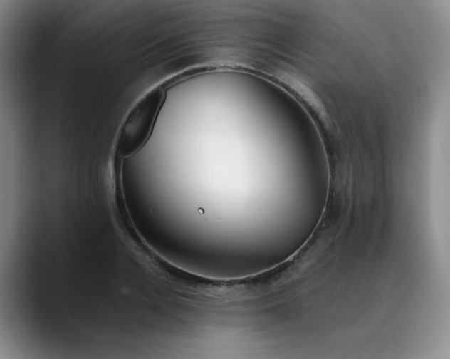 X0000089890936200707121828