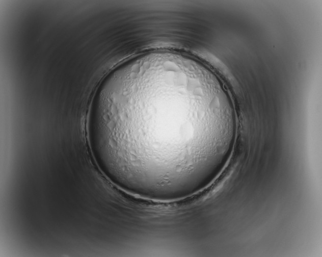 X0000089890937200707121828