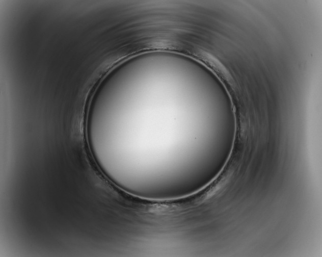 X0000089890938200707121828