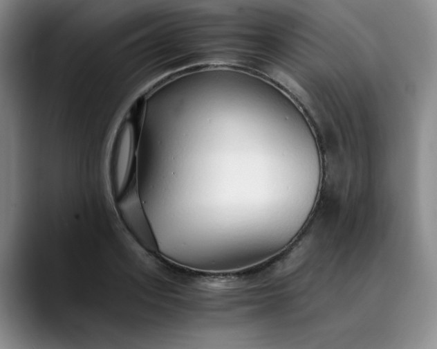 X0000089890939200707121828