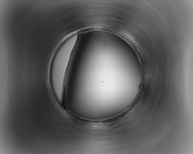 X0000089890940200707121828