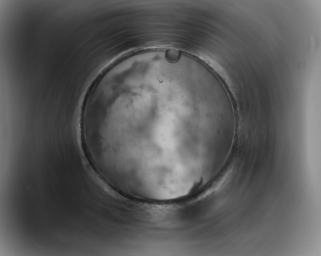 X0000089890941200707121828