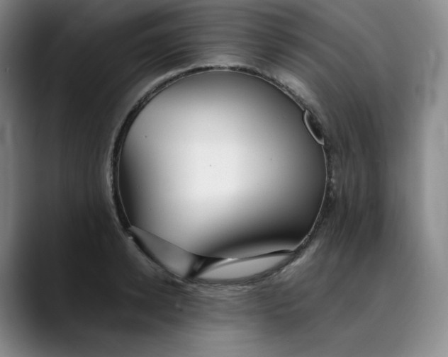 X0000089890942200707121828