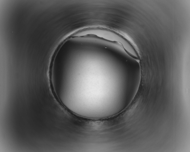 X0000089890943200707121828