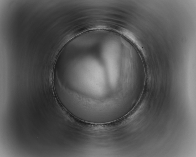 X0000089890945200707121828