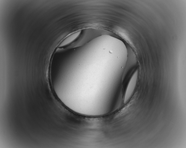 X0000089890946200707121829