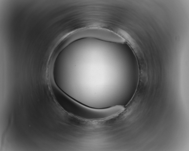 X0000089890948200707121829