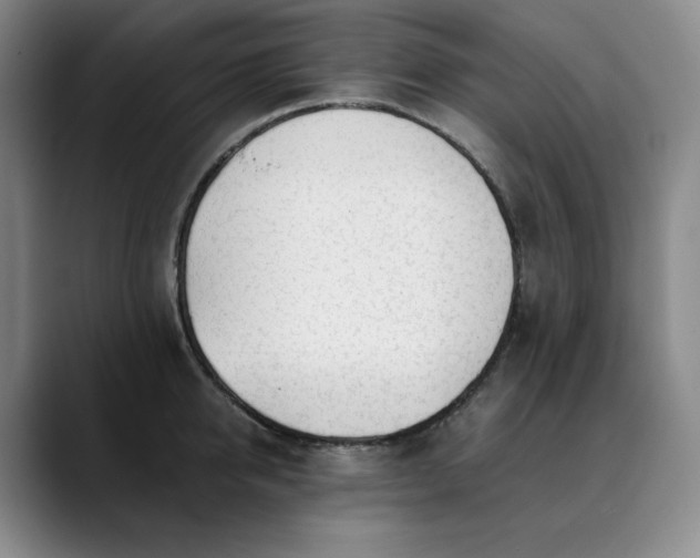 X0000089890950200707121829