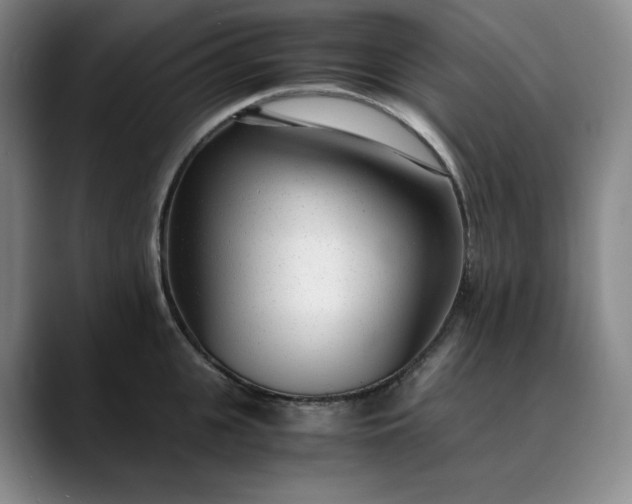 X0000089890951200707121829