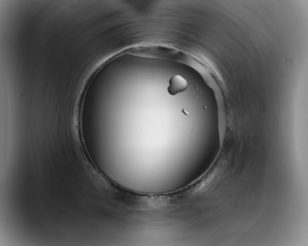 X0000089890952200707121829