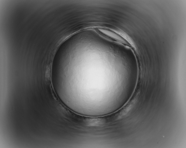 X0000089890953200707121829