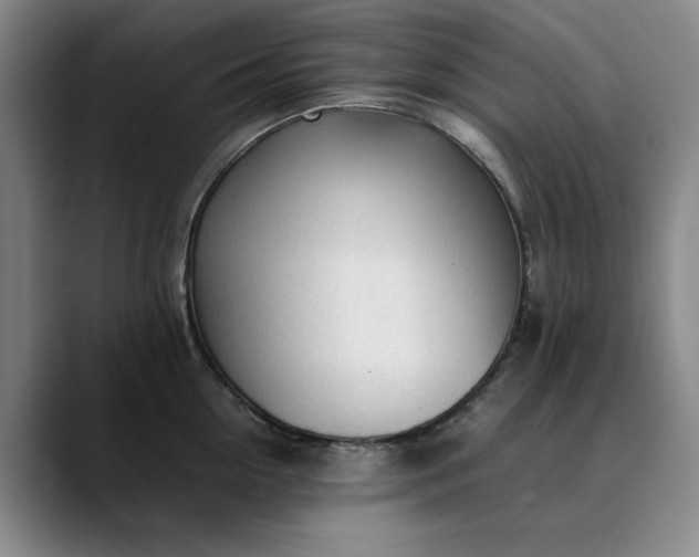 X0000089890954200707121829