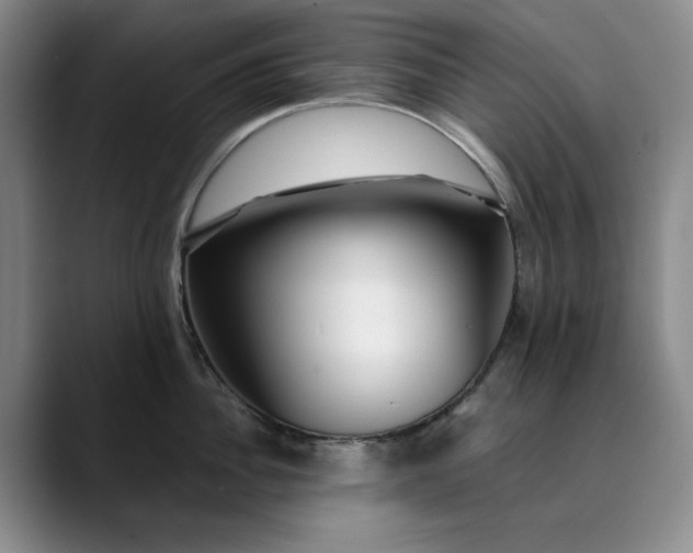 X0000089890956200707121829