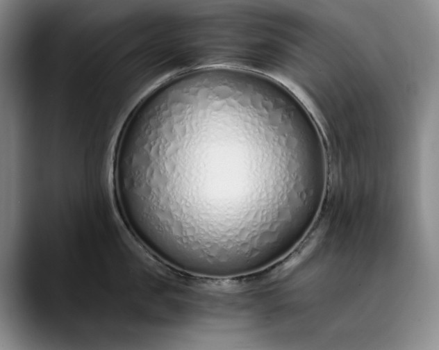 X0000089890957200707121829