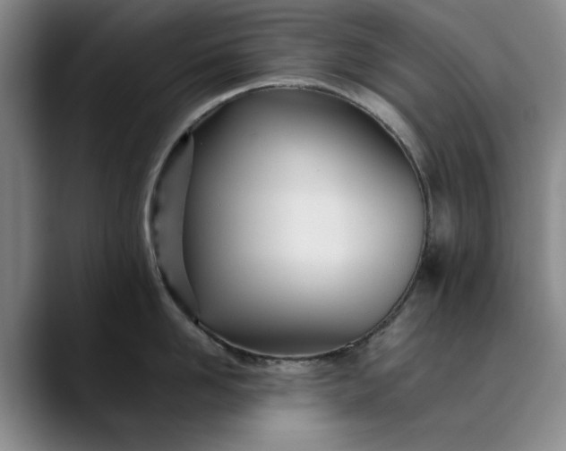 X0000089890958200707121829