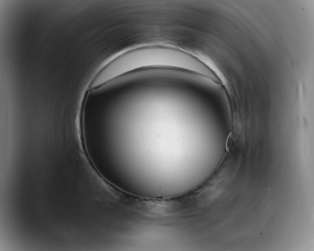 X0000089890959200707121829