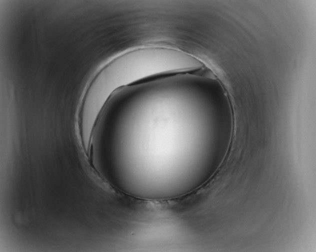 X0000089890960200707121829