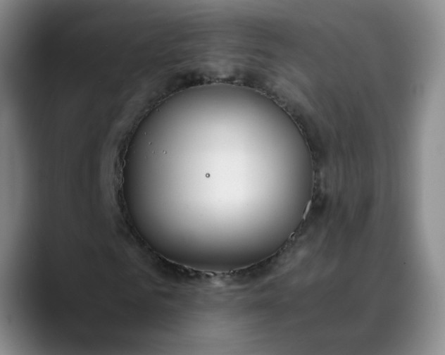 X0000089890961200707121828