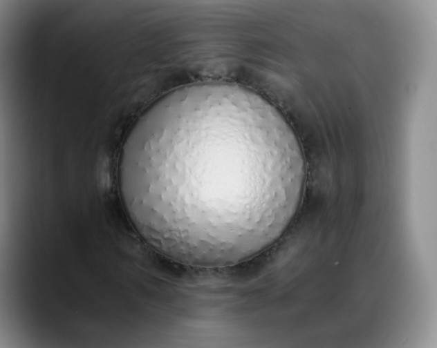 X0000089890962200707121828