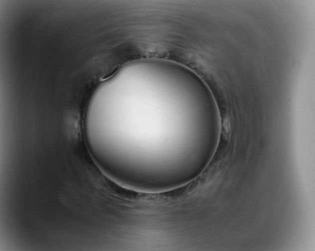 X0000089890963200707121828