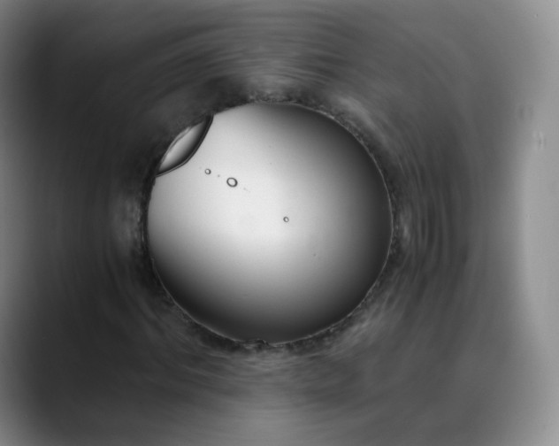 X0000089890964200707121828