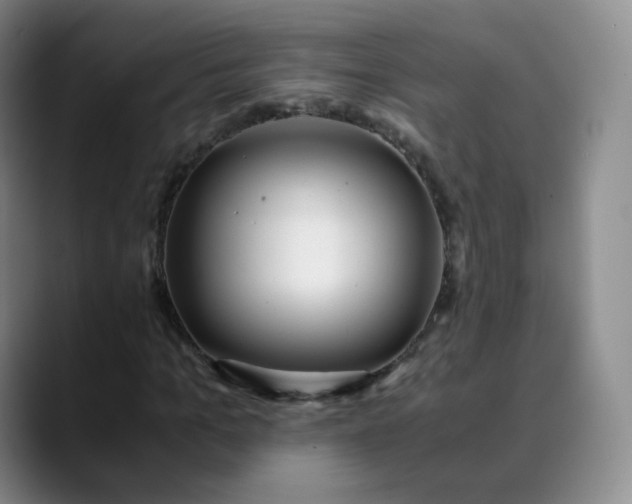 X0000089890965200707121828