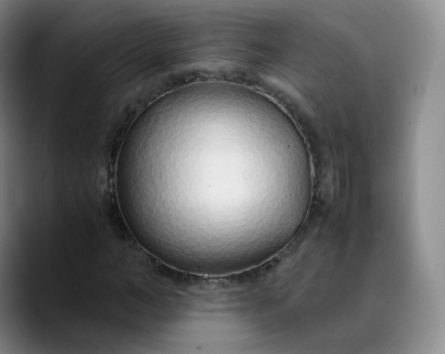 X0000089890966200707121828