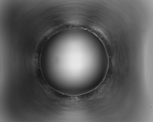 X0000089890968200707121828