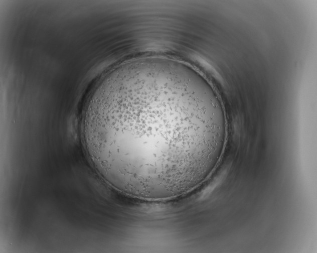 X0000089890970200707121828