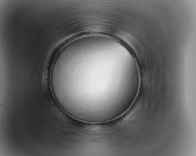 X0000089890971200707121828