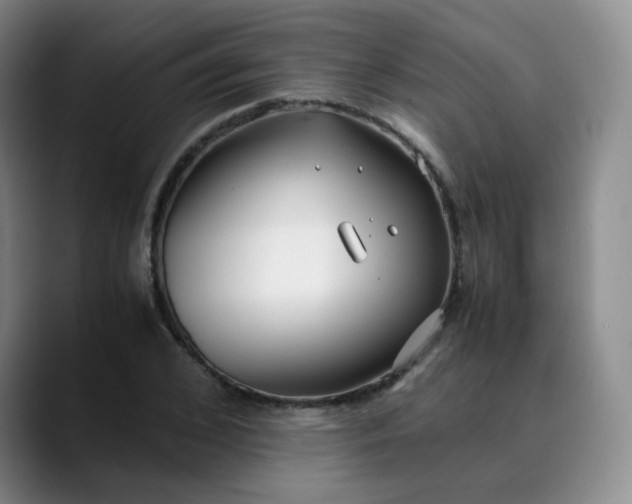 X0000089890976200707121828