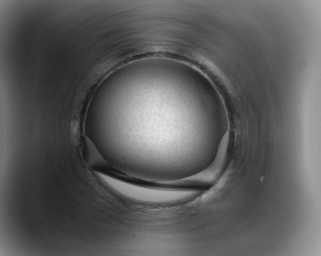 X0000089890977200707121828