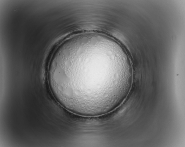 X0000089890979200707121828