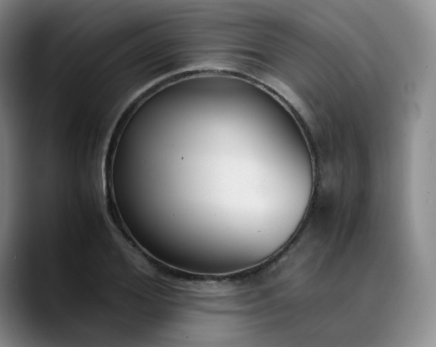 X0000089890980200707121828