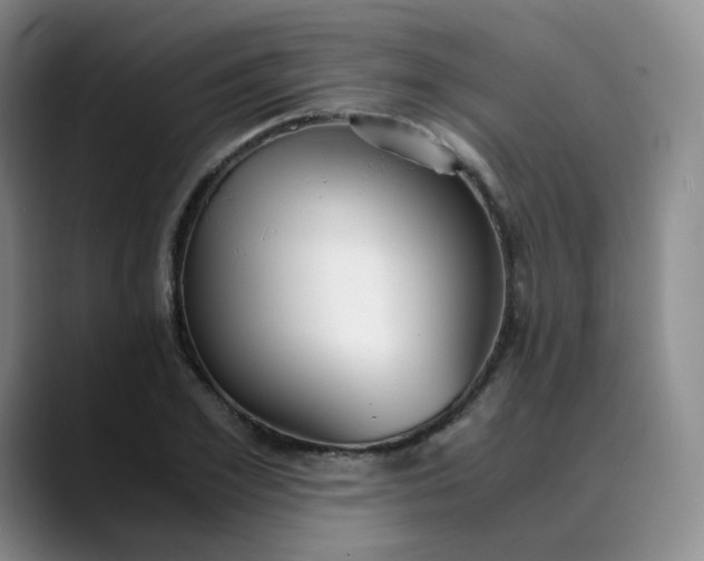 X0000089890981200707121828