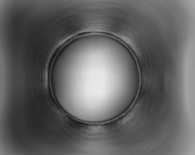 X0000089890982200707121828