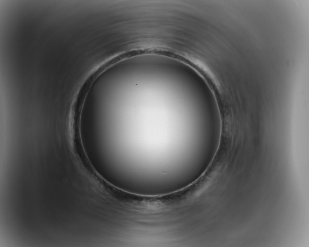 X0000089890983200707121828