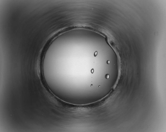 X0000089890984200707121828