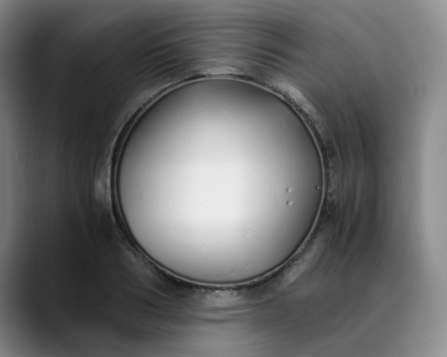 X0000089890986200707121828