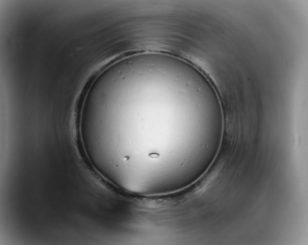 X0000089890987200707121828