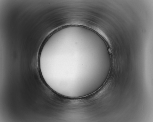 X0000089890988200707121828