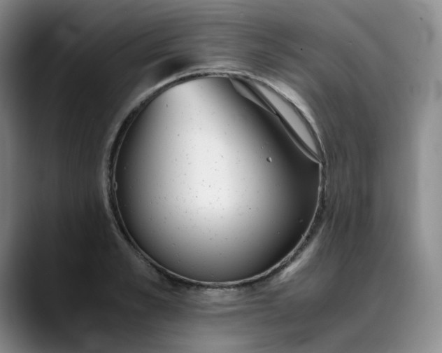 X0000089890989200707121828