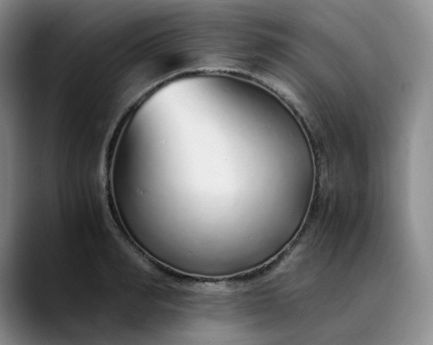 X0000089890990200707121828